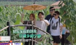蘑菇爆料最新,揭秘娱乐圈最新热点事件