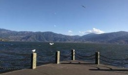 西昌邛海爆料事件最新,真相与争议交织的环保风暴