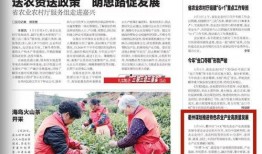 八村最新爆料新闻报道内容,揭秘背后惊人真相！”
