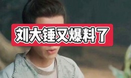 刘大锤爆料汪卓成的视频,独家爆料引热议