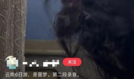 噩梦最初爆料视频,惊悚悬疑，带你走进恐怖世界