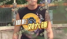 刘大锤爆料汪卓成的视频,独家爆料引热议