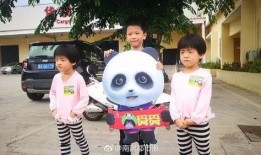 熊猫兄弟爆料视频大全集,揭秘萌宠日常与趣味瞬间
