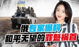 俄专家惊人爆料视频全集,揭秘视频全集内容概览