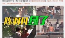 俄专家惊人爆料视频全集,揭秘视频全集内容概览