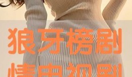 电视剧狼牙榜全集在线观看,热血江湖，英雄逐梦