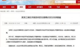 八村最新爆料新闻报道内容,揭秘背后惊人真相！”
