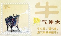 虎财吃瓜小说免费阅读全文,揭秘财经圈背后的秘密
