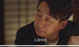 小欢喜20集在线观看,家庭纷争升级，情感纠葛再掀波澜
