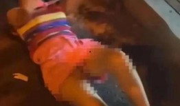 女干部被老公爆料视频,老公揭露惊人真相