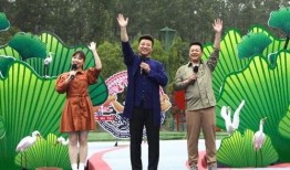 重庆燕子爆料视频最新版,事件真相与幕后黑幕