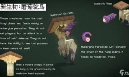 蘑菇爆料最新,揭秘娱乐圈最新热点事件