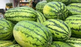 免费吃瓜入口官网,畅享美食盛宴的秘密通道