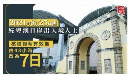 澳门最新爆料信息大全,揭秘风云变幻的赌城秘闻