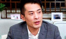 辛巴爆料王海视频,揭秘网络舆论背后的真相