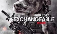 娱乐吃瓜汪星人是谁啊,网络红星的崛起之路