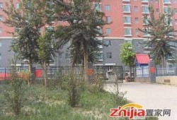 石家庄三院爆料最新消息,揭秘事件真相与进展