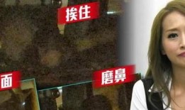 林雅诗电影在线观看,在线观影指南，尽享经典瞬间