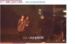 何炅绯闻爆料视频大全集,真相与谣言的交织