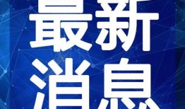 重庆燕子爆料视频最新版,事件真相与幕后黑幕