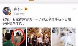 娱乐圈爆料语气是什么,揭秘明星背后的惊人真相！