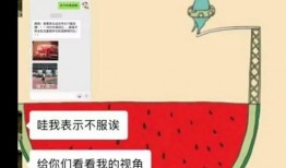娱乐吃瓜君被告怎么回事,揭秘背后真相与争议
