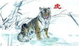虎财吃瓜小说免费阅读全文,揭秘财经圈背后的秘密