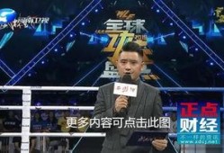 河南卫视直播在线观看武林风直播