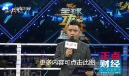 河南卫视直播在线观看武林风直播
